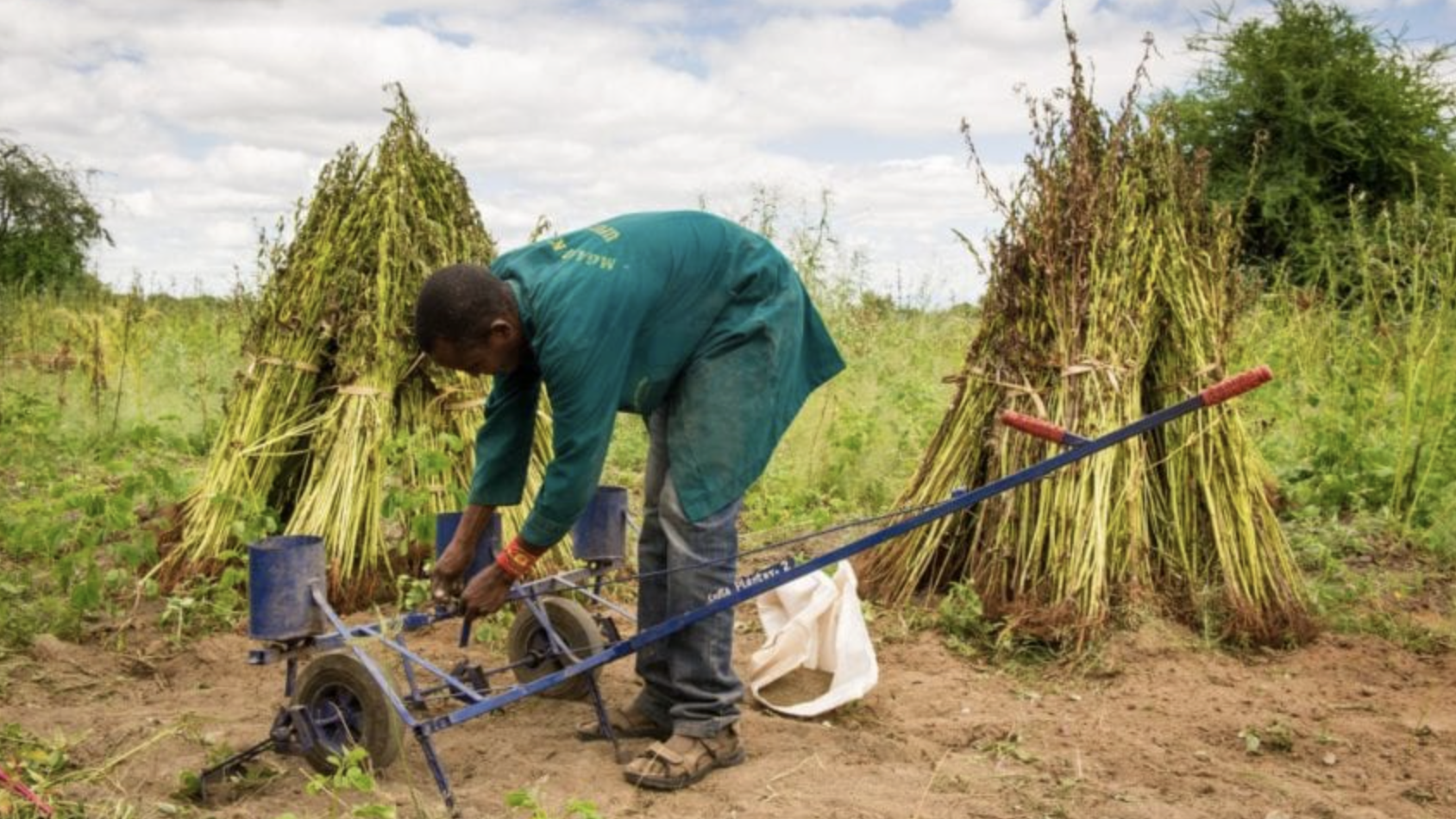 African agrifood trade at a crossroads